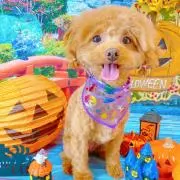 ゆいママの画像