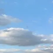 __laleの画像