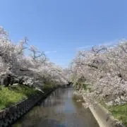 ココナッツ