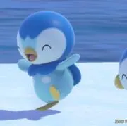 ぽぽの画像