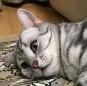 まーくんの画像