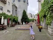 なつの画像