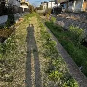 Kotaの画像