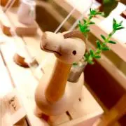 みぴの画像