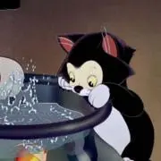 フィガ