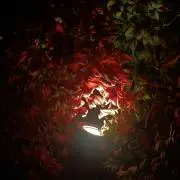 りの画像