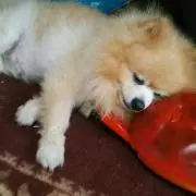 おきょう