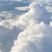 ゆにこの画像