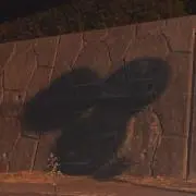 渡邊の画像
