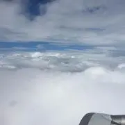 ありさん