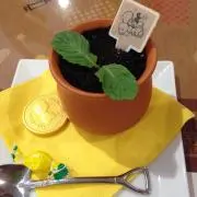 メルの画像