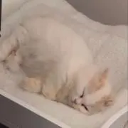 naaaakunの画像