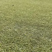 お好み焼き