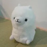 ポジの画像