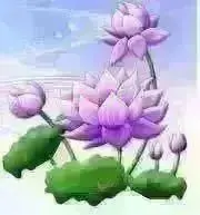 注意必読⚠️LUSHERAル.シェ.ラ.の画像