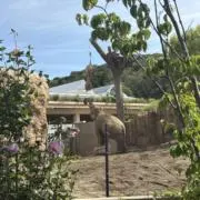 7/24～21発送できないです