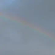 ひなりん