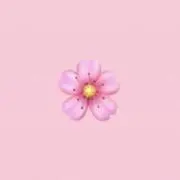 さくら♡まとめ買いの画像