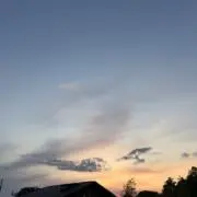 たばの画像