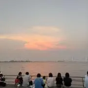 96の画像
