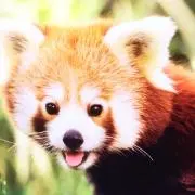 じゅん