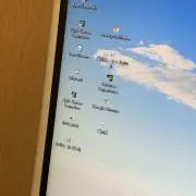 ayuの画像