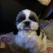 チタン