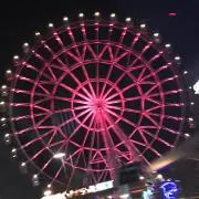 リンリンの画像