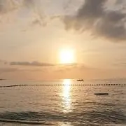 かん君の画像