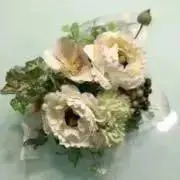ばーちんの画像