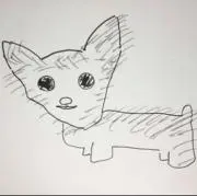 あずき【即購入OK】の画像