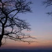 Mの画像