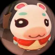 懋懋の画像