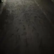 名無しの画像
