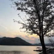 しょー。の画像