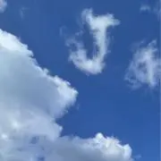 るんの画像