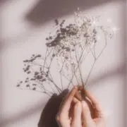断捨離したいですの画像