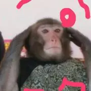 フクちゃん