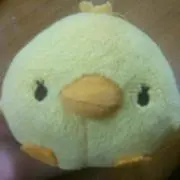 ひかるの画像