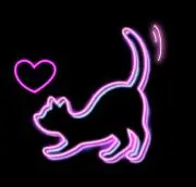Kuronekoの画像