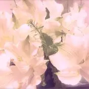えの