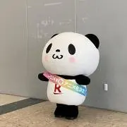 ぱんちゃんの画像