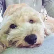 M Kの画像