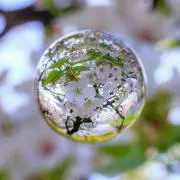 GAIA(プロフ必読)
