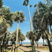 101Surfの画像