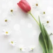 ８