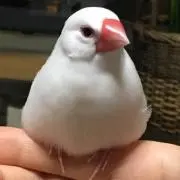 あべ⚠️プロフ必読の画像