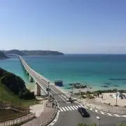 ピコの画像