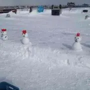 あいの画像