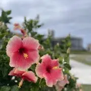 み〜☆の画像